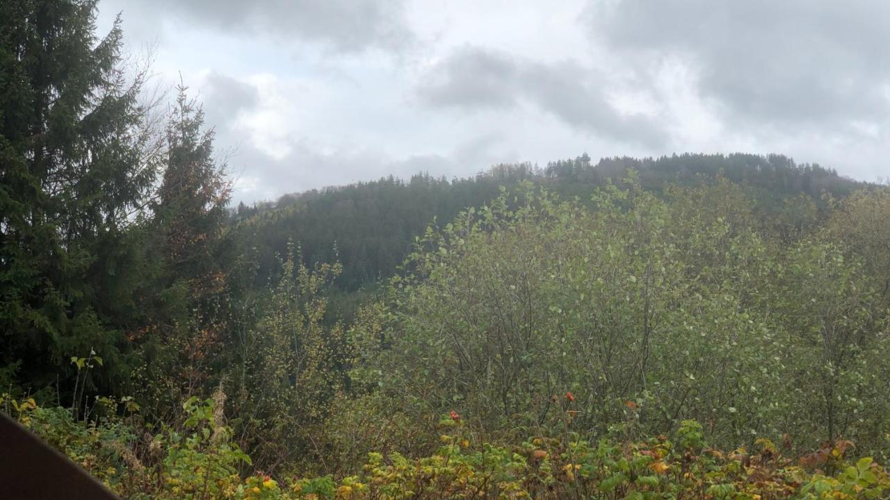 Fewo Berg Idyllika Willingen  Kültér fotó