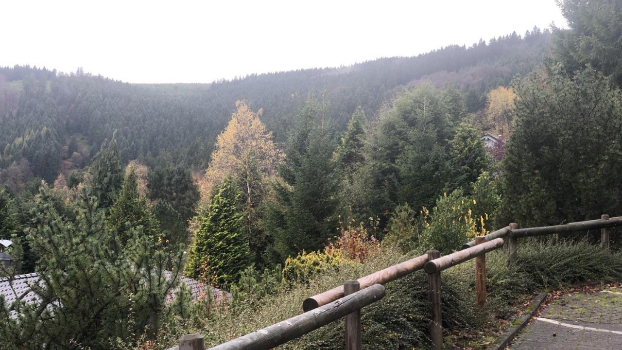 Fewo Berg Idyllika Willingen  Kültér fotó