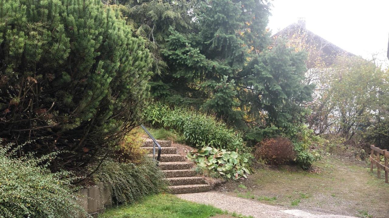 Fewo Berg Idyllika Willingen  Kültér fotó